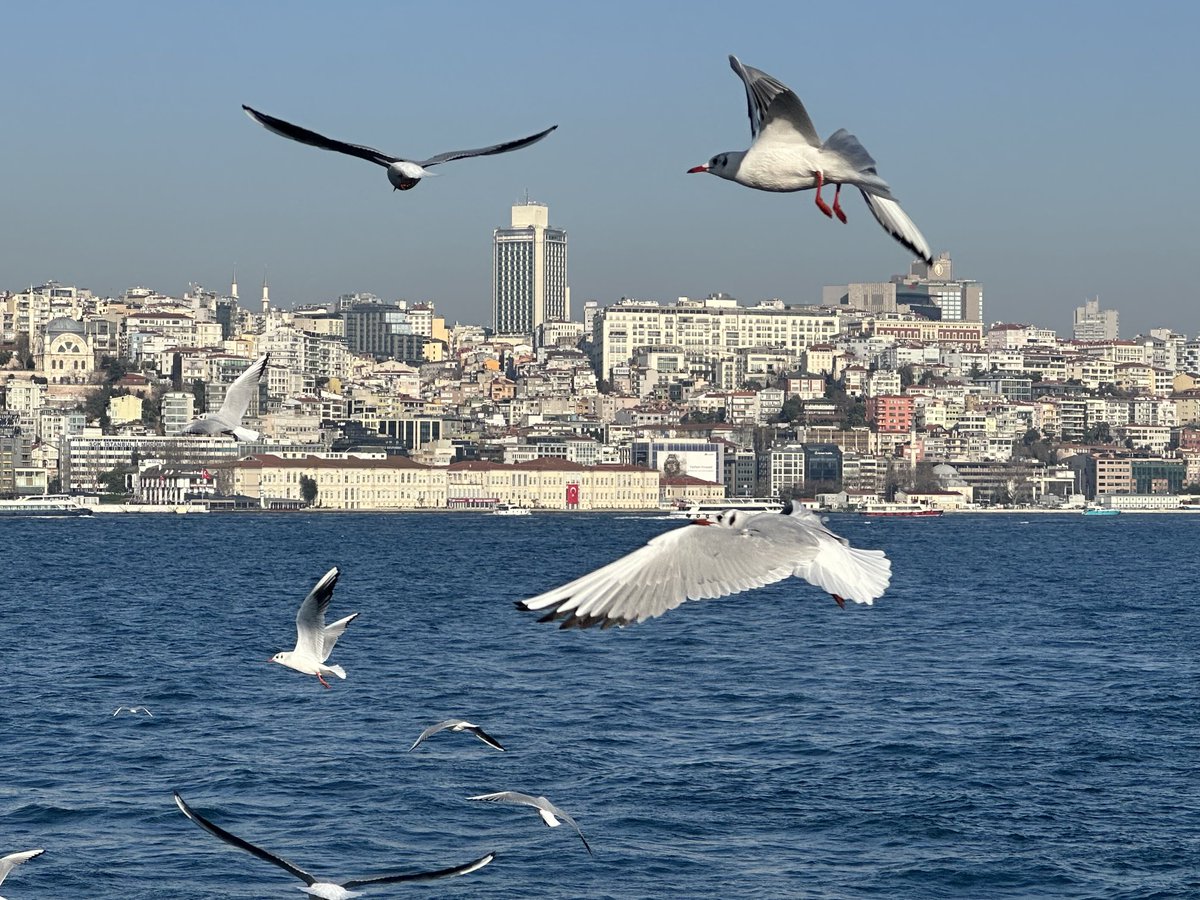 Seeing the sights & sounds of Istanbul with family ⁦@YMAnder12⁩ ⁦@CoachJodi_⁩ @marcheita #family #basketball