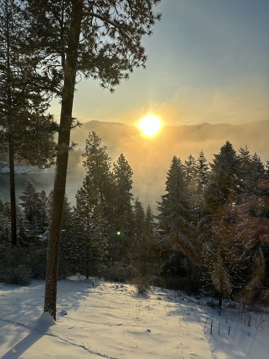 24cammo's tweet image. 