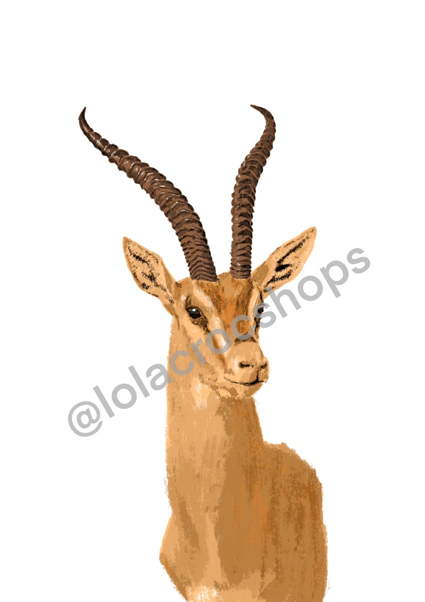 Lolacrocshops's tweet photo. Set of 3 printable animal prints | Decoration | Wild animals | por lolacrocshops https://t.co/hE6Tgkr90C a través de @Etsy https://t.co/gBM99bK2pG