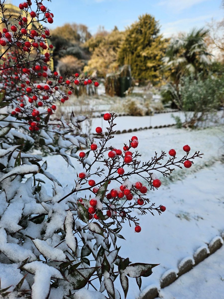 ⛄ Il a neigé cette nuit au Jardin des Plantes ! On vous emmène pour une balade ❄️ ? #neige