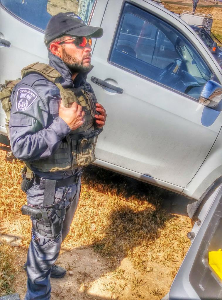אלמוג כהן Almog cohen tweet media