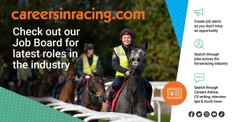 🗣️ A vacancy has arisen to join the Travelling Team at @donaldmccain Must be able to drive a 2 horse box and turn horses out to the highest standard at the races. Single accommodation available. More Info: ➡️ jobs.careersinracing.com/job/332486/tra… #CareersinRacing #Jobs