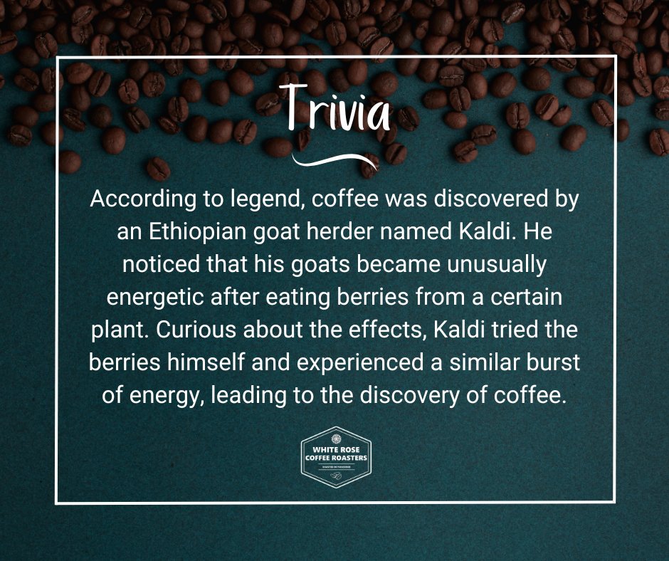 🤔☕️ COFFEE TRIVIA | Did you know the legend of how coffee was discovered?

#coffee #coffeetime #coffeeholic #coffeelovers #coffeeaddict #coffeelover #coffeeroast #coffeeroasting #coffeeroasters #coffeeroastingmachine #halifax #trivia #fact #facts #TriviaTime #CoffeeFacts