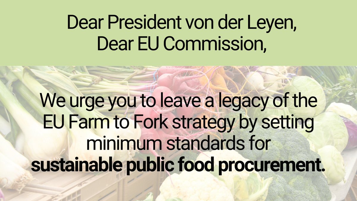 We sent an open letter✉️ to President <a href="/vonderleyen/">Ursula von der Leyen</a> and Commissioners <a href="/EU_Commission/">European Commission</a>: Let’s use public #foodprocurement to provide more sustainable and healthier food🥦🍊! Read the letter and join us in advocating for healthier and fairer #foodsystems:

organicseurope.bio/content/upload…