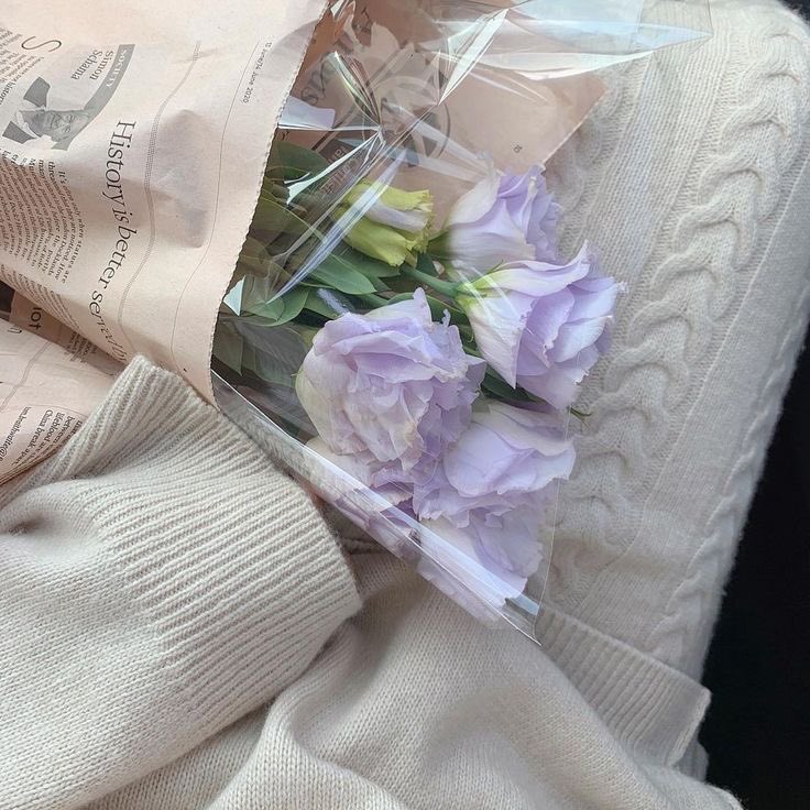 ourblooms's tweet photo. ﾟﾟ･｡･ﾟﾟ｡ 
ﾟ。₍ᐢ..ᐢ₎ ｡ﾟ      
    ﾟ･｡･ ﾟㅤ     🌷 https://t.co/aYSdkdZk8i