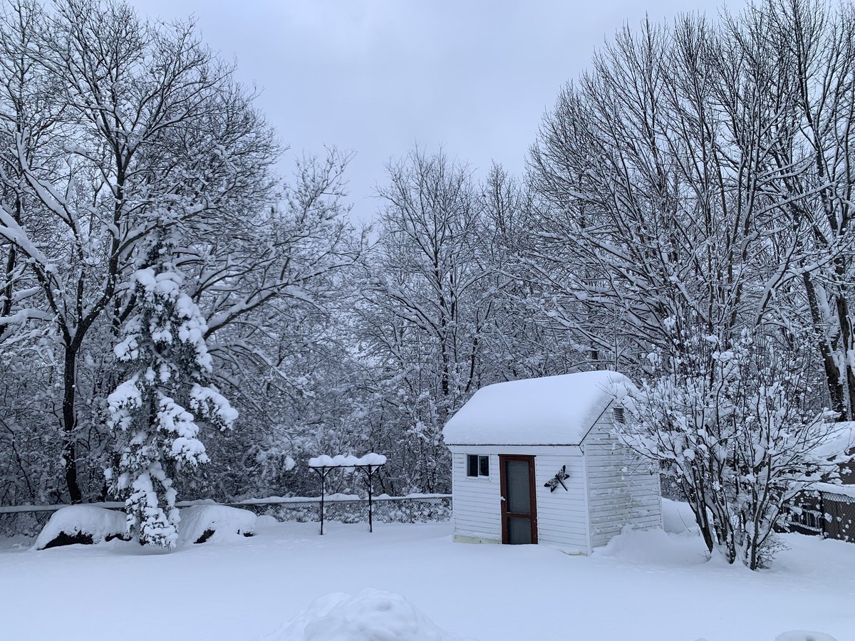 AtkinsonNancy's tweet image. Does look pretty on the trees.  #TryingToBePositive #TiredOfShoveling #Winter24