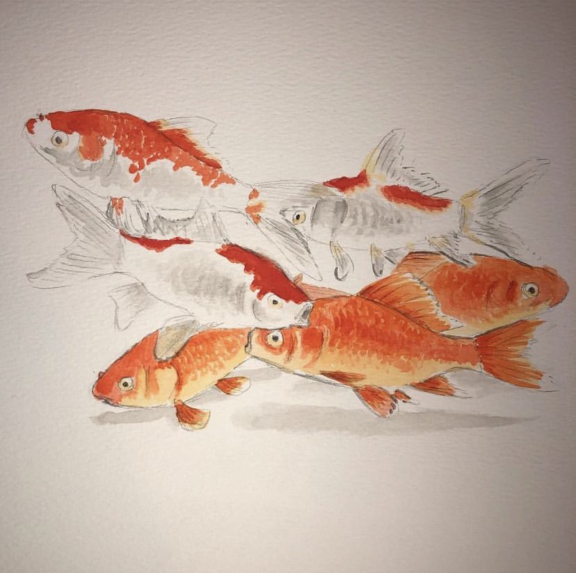 vbryce 🌊 tweet media