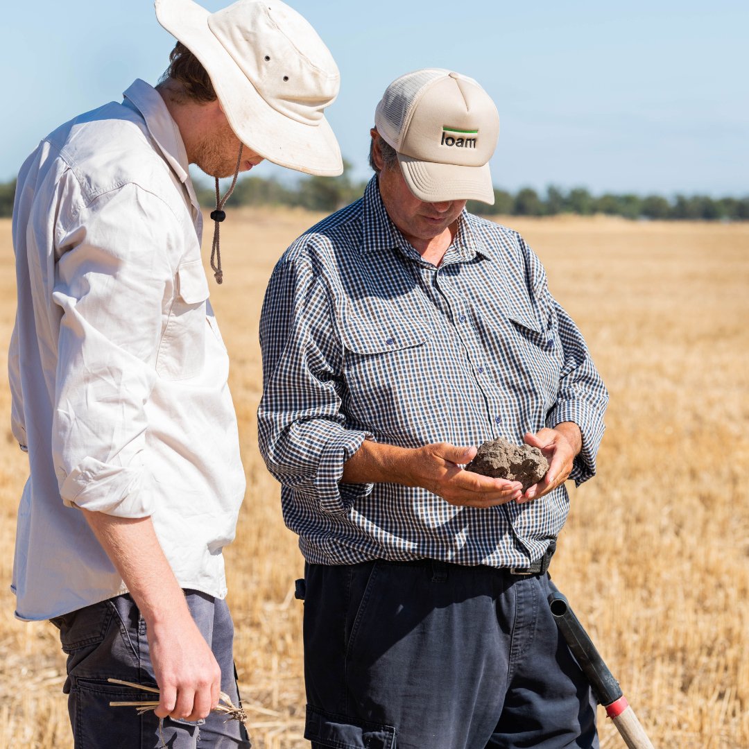 Curious about our #SecondCrop soil carbon projects? There is an easy way to take a step toward learning if a partnership with Loam is for you – complete our Grower Interest Survey and one of our team will be in touch! 👉loambio.com/secondcrop/aus…