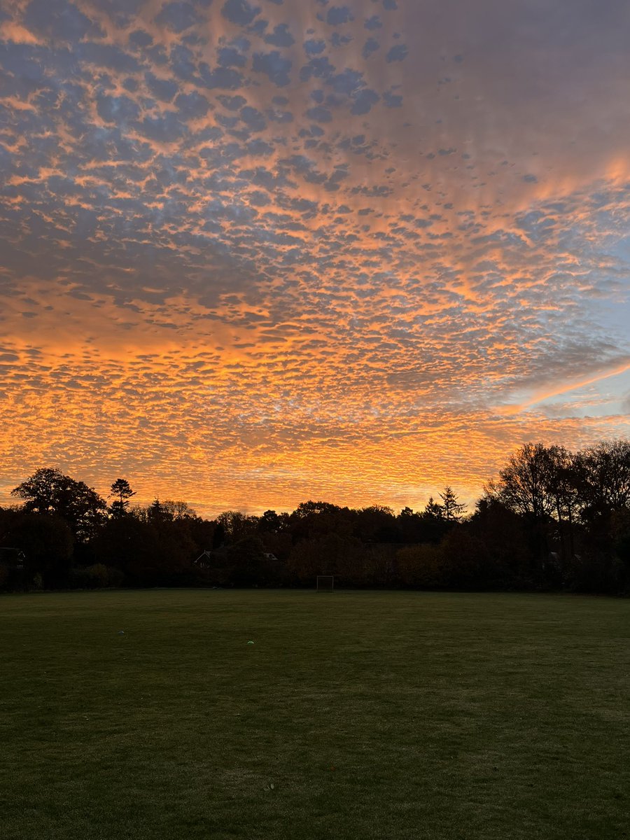 Downe House Sport tweet media