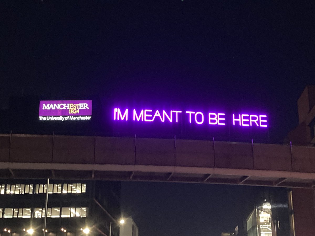 Niamh Fox tweet media