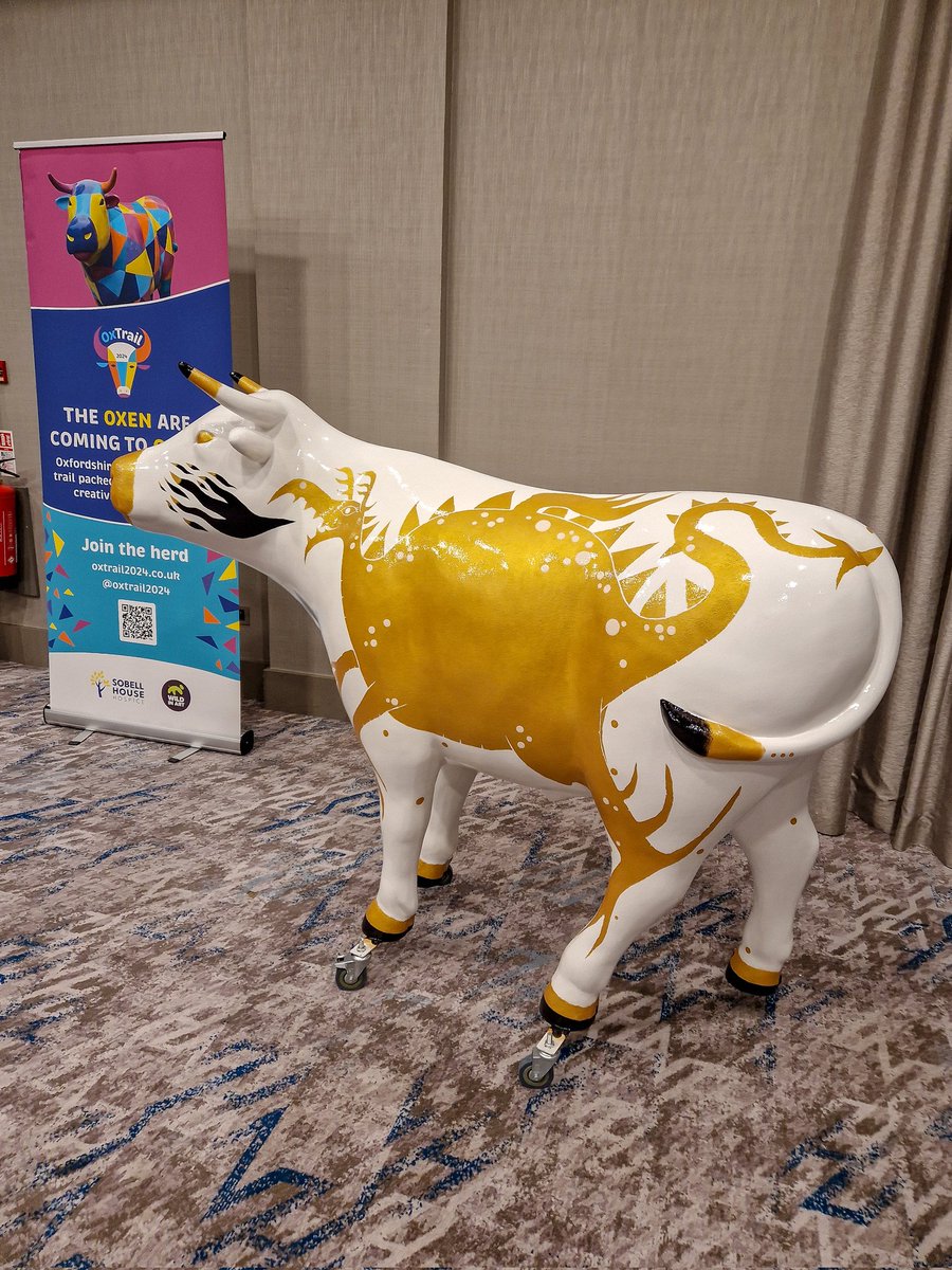 Thrilled to be part of the Art Selection event for the upcoming @oxtrail2024! The designs for the @oxford_brookes ox have been chosen! It was also a treat to see the finished masterpiece painted by @DavidMelling1 🐮💛