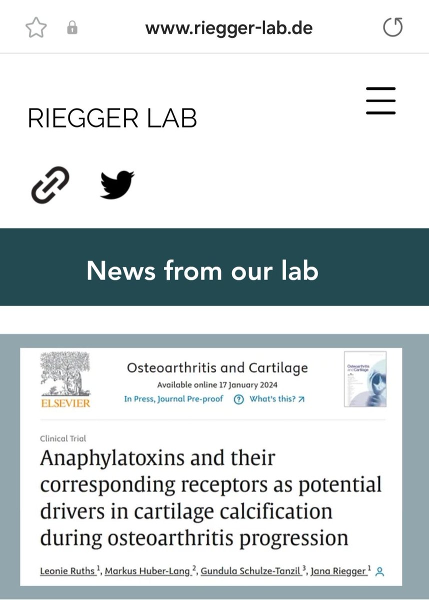 Jana Riegger (@janariegger) on Twitter photo 🚨Publication alert 🚨 New study about the potential involvement of anaphylatoxins in cartilage calcification during OA progression! Congratulations to our PhD student Leo on this fantastic achievement! 🥳 <a href="/OACJournal/">Osteoarthritis and Cartilage Journals</a> <a href="/EccoComplement/">ECCO</a> <a href="/SfbTrauma/">SFB-Trauma</a> 🚨Publication alert 🚨 New study about the potential involvement of anaphylatoxins in cartilage calcification during OA progression! Congratulations to our PhD student Leo on this fantastic achievement! 🥳 <a href="/OACJournal/">Osteoarthritis and Cartilage Journals</a> <a href="/EccoComplement/">ECCO</a> <a href="/SfbTrauma/">SFB-Trauma</a>