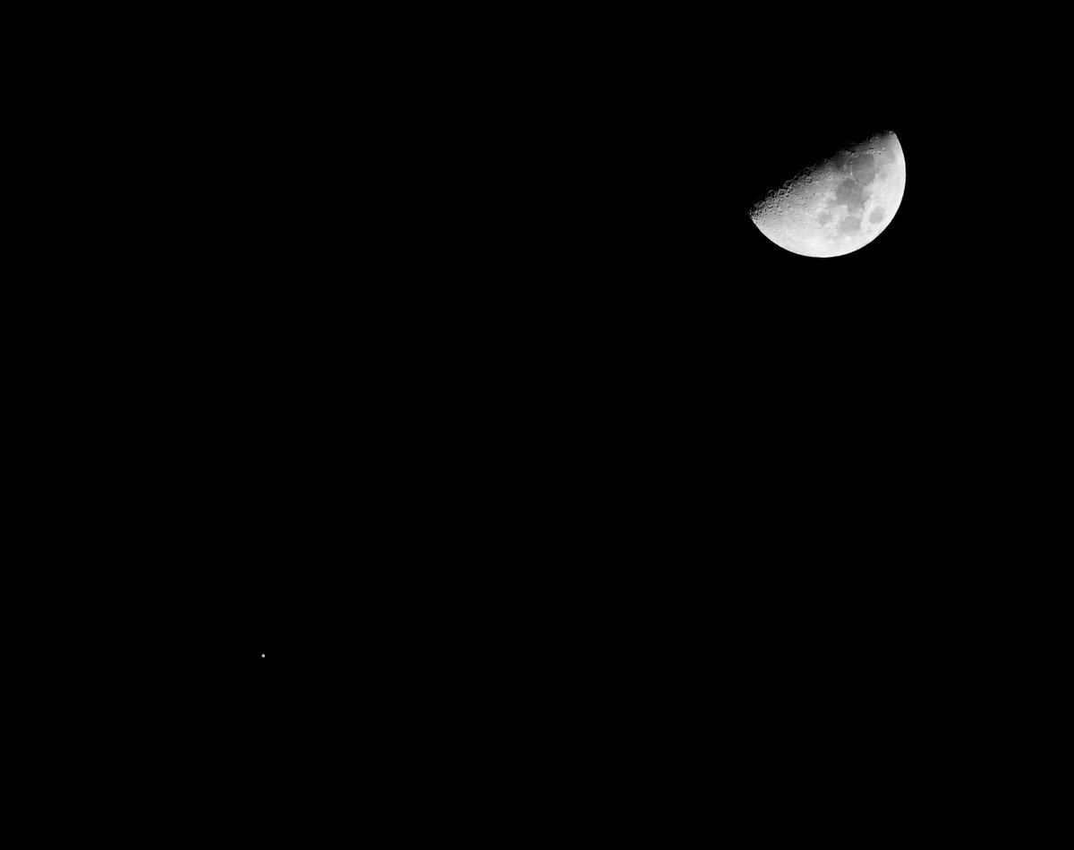 xavix's tweet photo. Avui val la pena que #miremelcel. @estelsiplanetes https://t.co/s7iU9dNDgJ