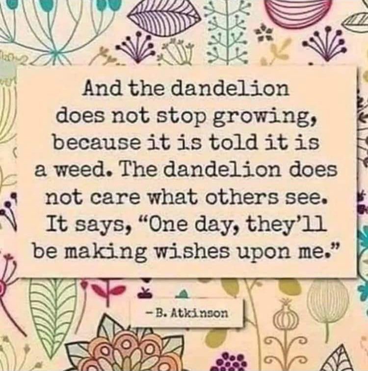 Jools Kosterman (@ojools) on Twitter photo 