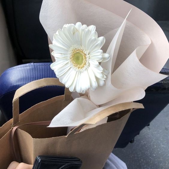 ──★ ˙ ̟20 maneras de decir "te amo" con letras de Taylor Swift !! <𝟑

by- 🐿️᪲᪲