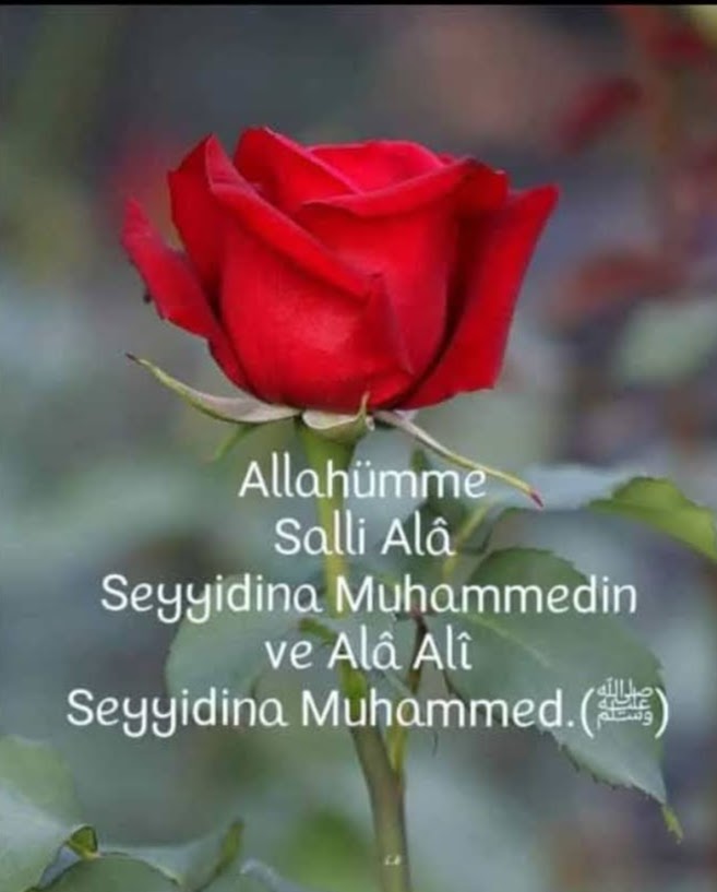 ZFSMustafa's tweet photo. https://t.co/iKqyW4IQw4