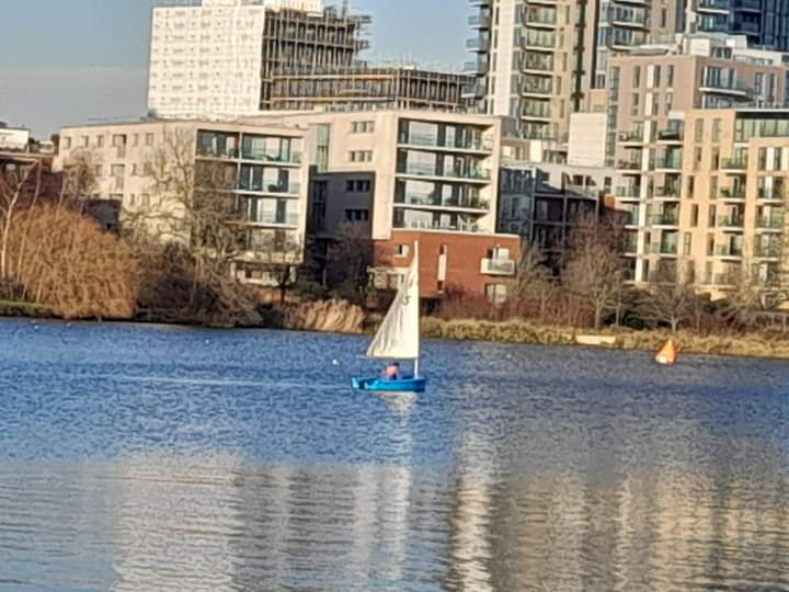 Scaramouche Sailing Trust tweet media