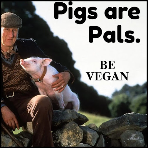 Pigs are Pals - Created by <a href="/VeganPoet/">Animal Rights Vegan Ⓥ</a> #vegan #animalrights