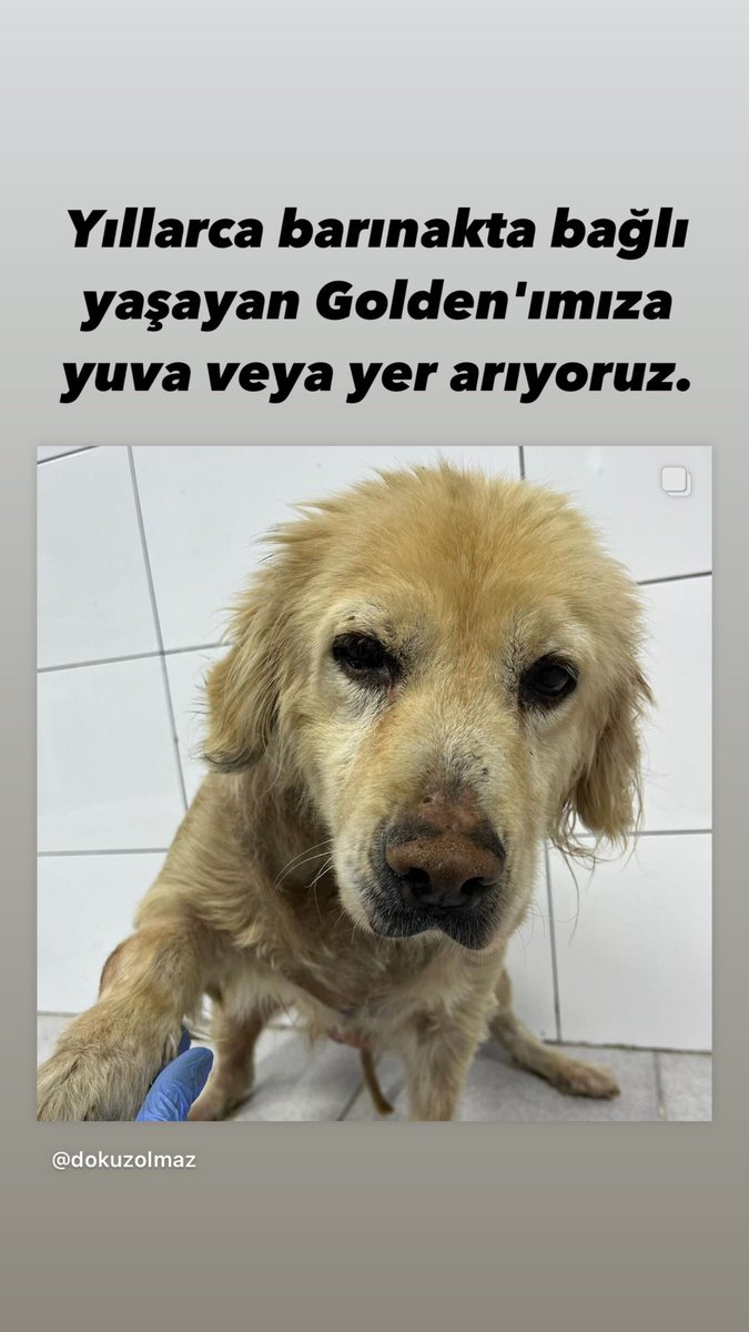 Paylaşır mısınız?