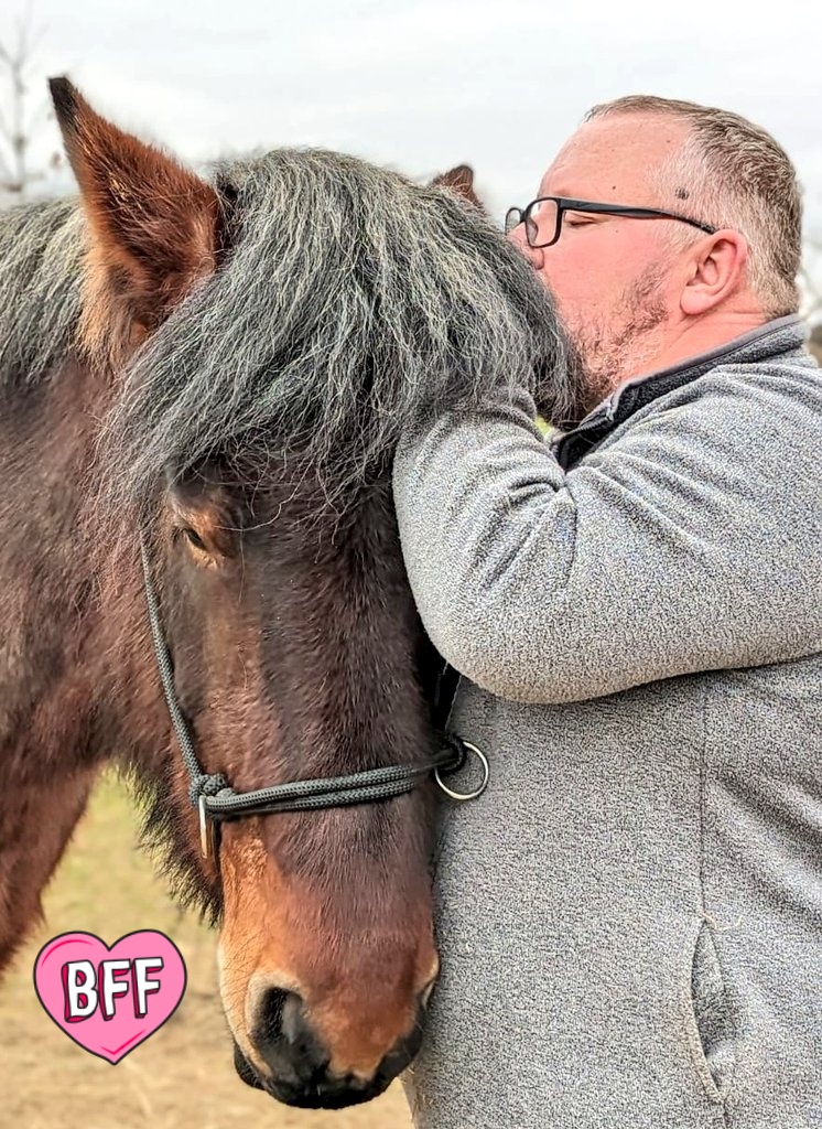 It's my absolute favourite human in the whole wide world's birthday today, Everyone keeps saying it's a big one and mentioning under hushed tones the words five O.
Don't worry, I made sure he had huge draft sized birthday hugs 🥰🐴 #Belgiandrafthorse