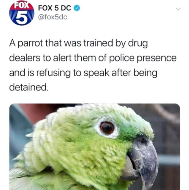 free my boy
