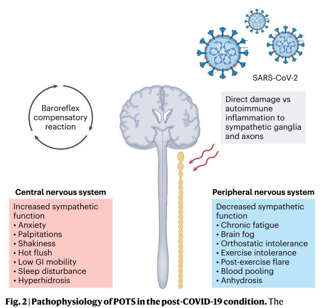 Eric Topol tweet media