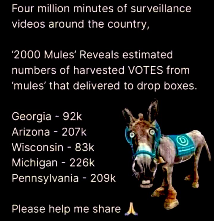 They didn't count mail-in voting and all the fraud that comes with it.