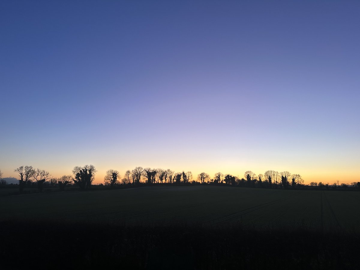Carlow Weather tweet media
