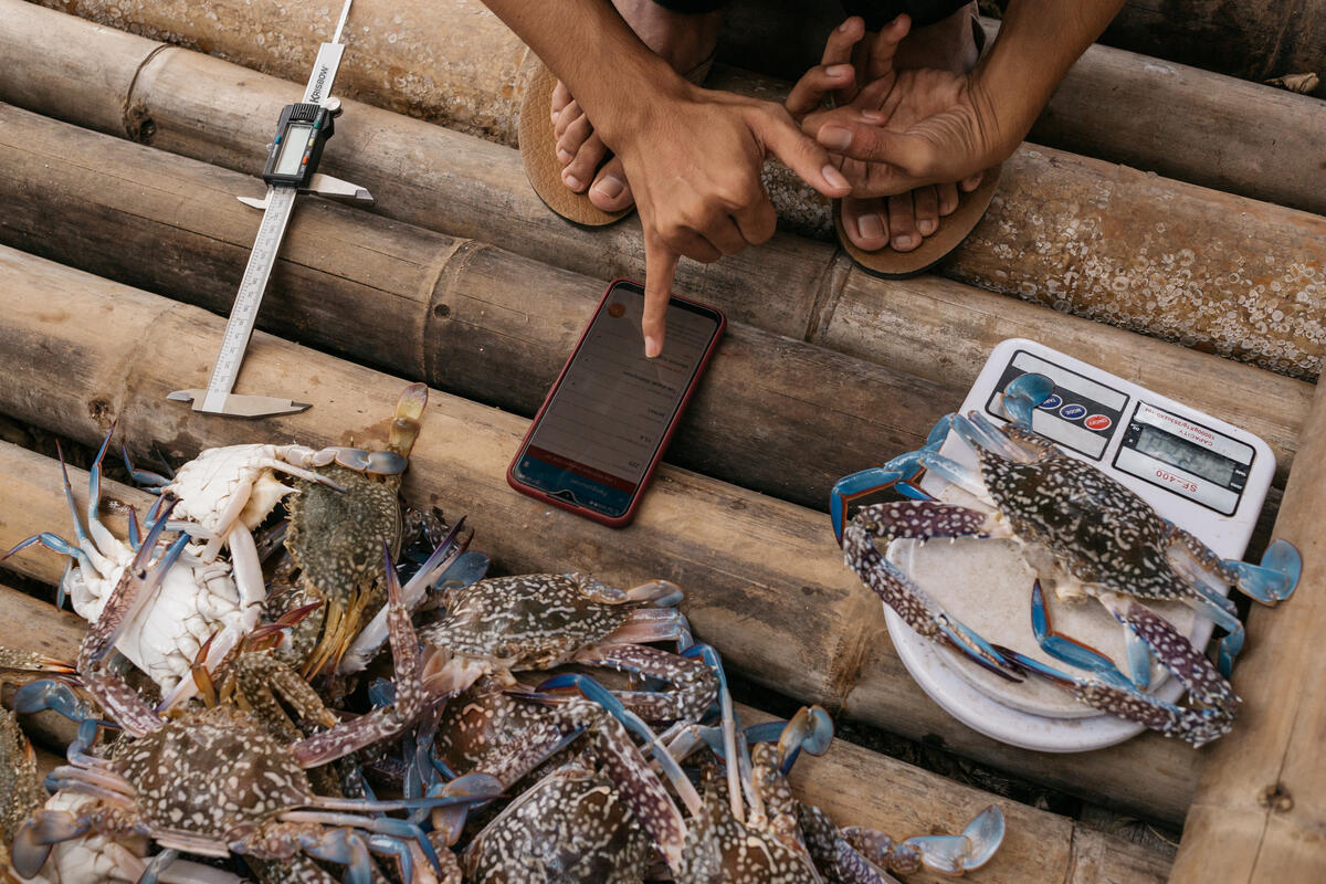 EDF Oceans tweet media