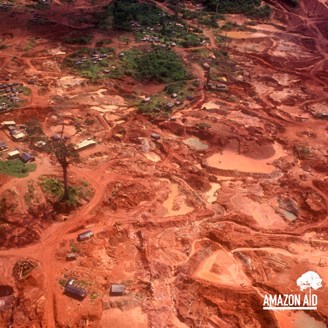 AmazonAidF's tweet image. Leveraging our deep relationships with stakeholders along the entire gold supply chain, we are stewarding a collaborative innovation network to address the complex issues associated with ASGM in the Amazon region.

Learn more: amazonaid.org