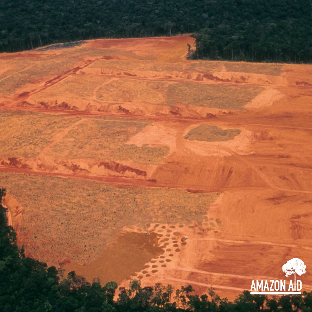 Leveraging our deep relationships with stakeholders along the entire gold supply chain, we are stewarding a collaborative innovation network to address the complex issues associated with ASGM in the Amazon region.

Learn more: amazonaid.org