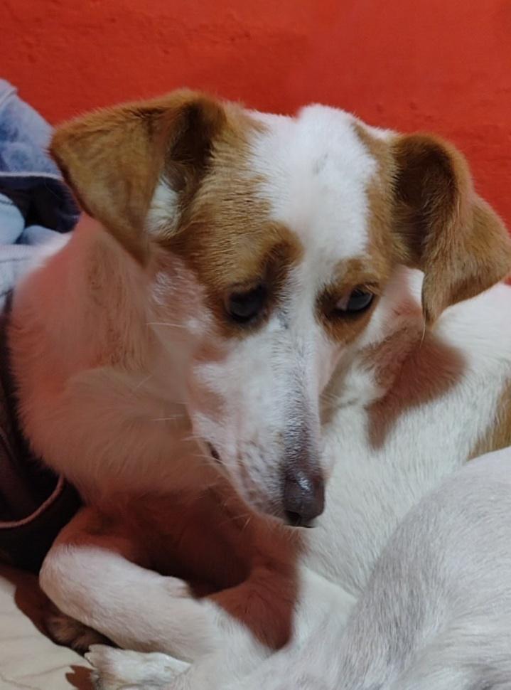 metanse su foto con su amorcito en el orto