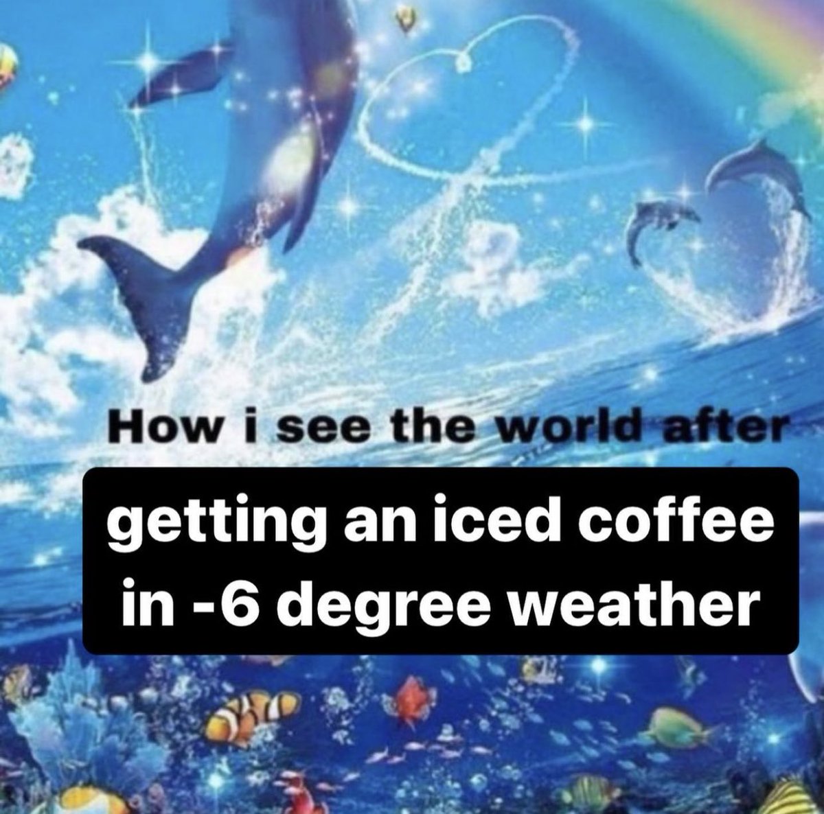 The Notorious J.O.V. (@whotfisjovana) on Twitter photo 