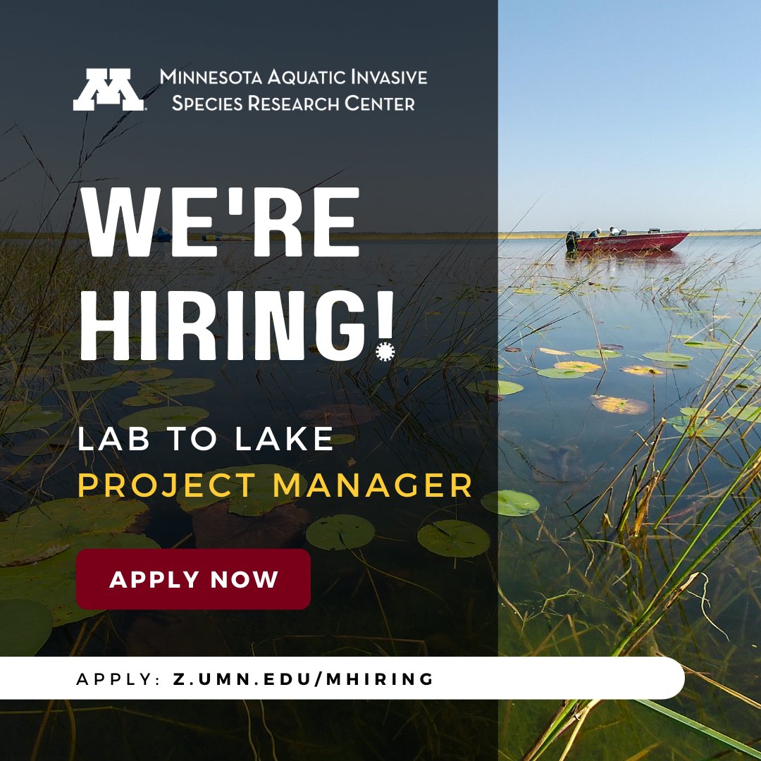 MAISRC (@aisresearchmn) on Twitter photo Join Our Team! MAISRC is seeking a Project Manager to steer a new initiative, the Lab to Lake Project, towards success. Engage with researchers, collaborate on an impactful project, and contribute to the betterment of Minnesota's lakes and waterways. 🌊✨ z.umn.edu/Mhiring Join Our Team! MAISRC is seeking a Project Manager to steer a new initiative, the Lab to Lake Project, towards success. Engage with researchers, collaborate on an impactful project, and contribute to the betterment of Minnesota's lakes and waterways. 🌊✨ z.umn.edu/Mhiring