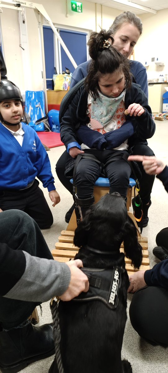 JohnSykesFoundation tweet media