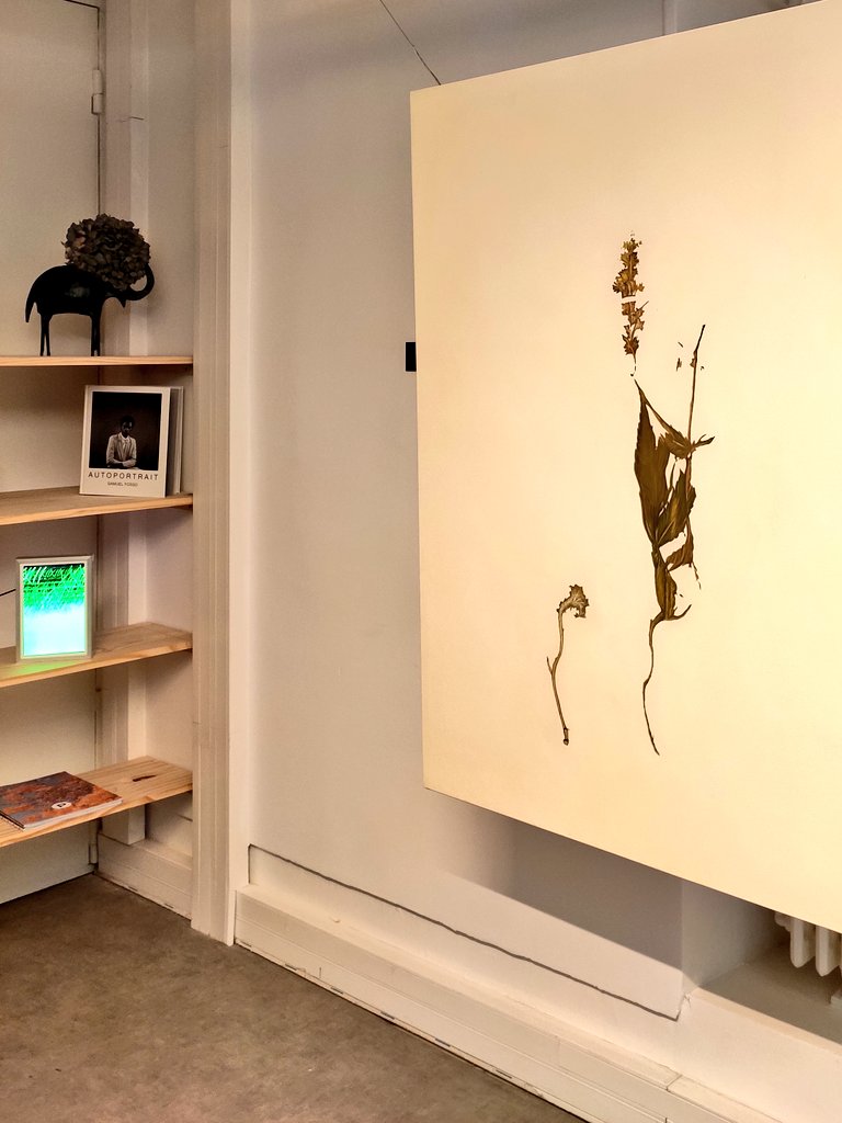 horomox's tweet photo. You perhaps know my hate&love relationships with these days' generative things. 
Generally it's more former than latter. 
But there are some exceptions. 

One is this show Belle Époque by @Danae__io curated by Hugo de Plessix; in a conversation with Marion Carré @Ma_rionC of @AskMonaParis. 

Especially good to see works by @aurecevettier , @sashastiles , @SarahMeyohas, @u2p050 alongside those by @ca_Ikam @albertinmeunier and @patricktresset