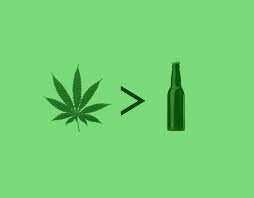 420's tweet photo. 🍁 still undefeated 🍁 https://t.co/srgLBLa0Ks
