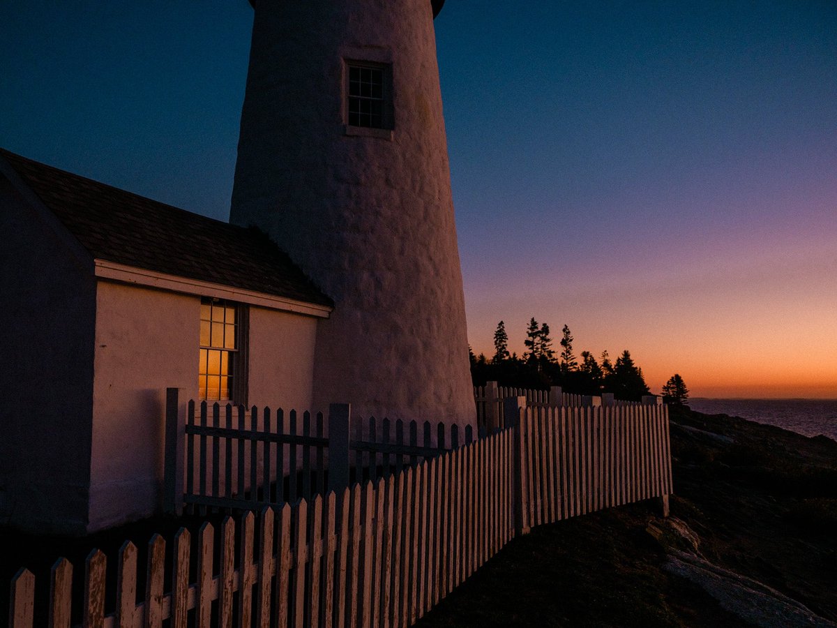 Nevin Johnson tweet media