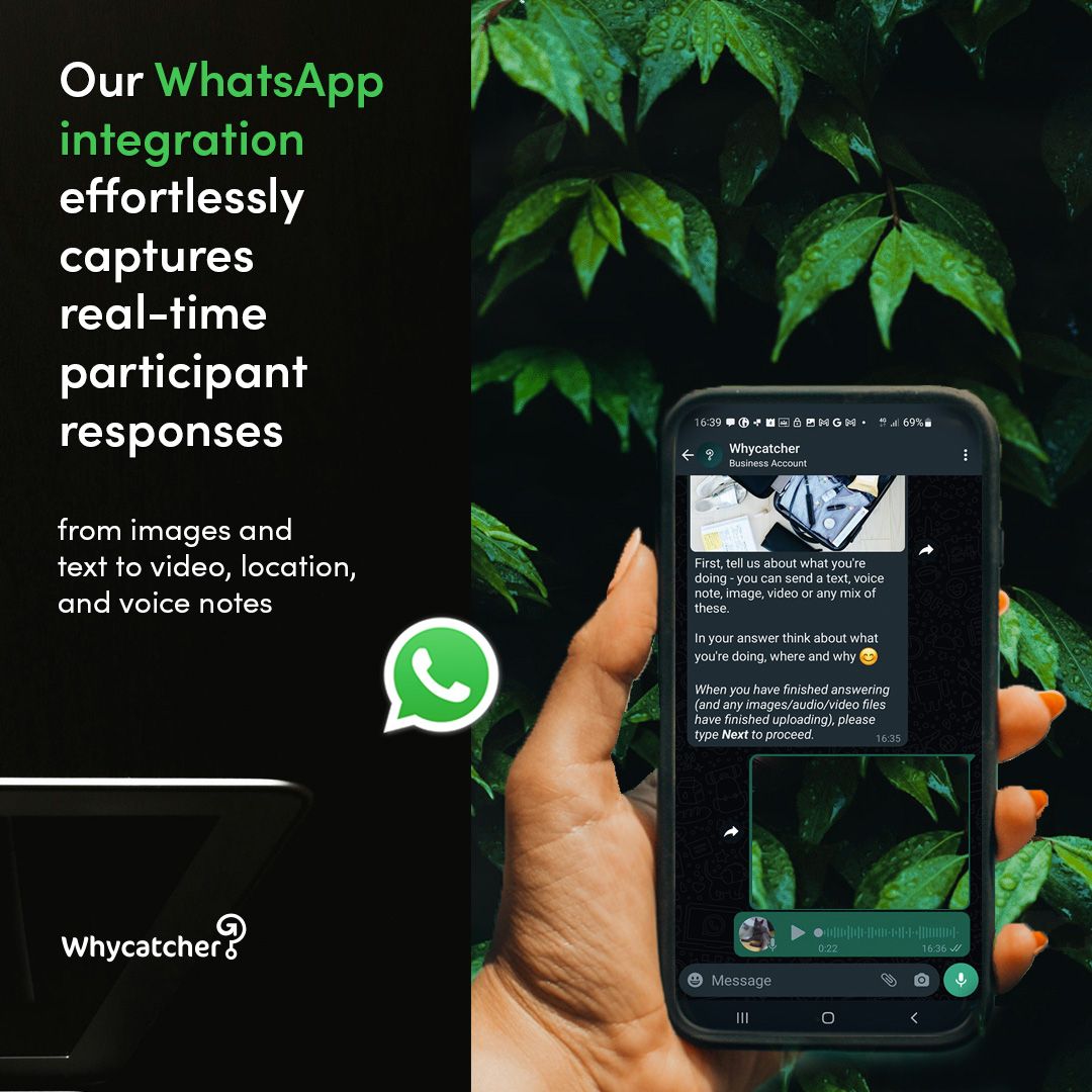 Whycatcher tweet media