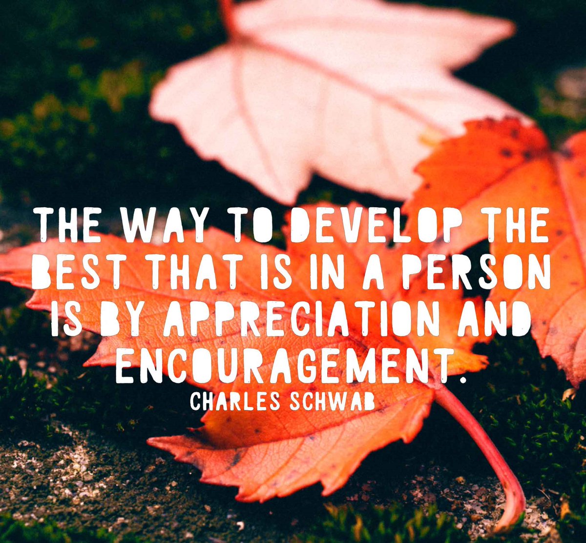 The way to develop the best that is in a person is by appreciation and encouragement. #ThursdayMotivation #ThursdayThoughts #Appreciation #Encouragement