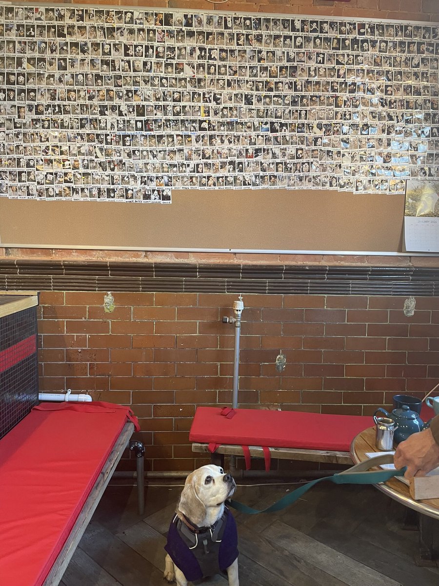 Herbie - adventures of a Beagle rescue pup (@herbieof) on Twitter photo The dog wall of fame in Old Fire Station. <a href="/tonbridgeOldFS/">Tonbridge Old Fire Station</a>
Dog friendly cafe and long time pals 🐾
Mum and Dad stopped off at lunch for a drink 🐾 The dog wall of fame in Old Fire Station. <a href="/tonbridgeOldFS/">Tonbridge Old Fire Station</a>
Dog friendly cafe and long time pals 🐾
Mum and Dad stopped off at lunch for a drink 🐾
