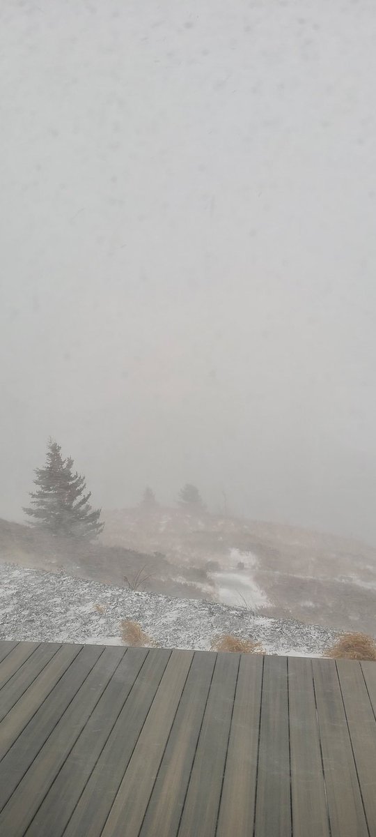 Jim Case tweet media