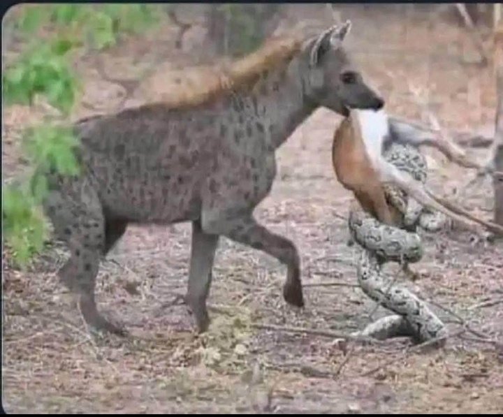 We have to accept facts on the ground, you can't eat alone.