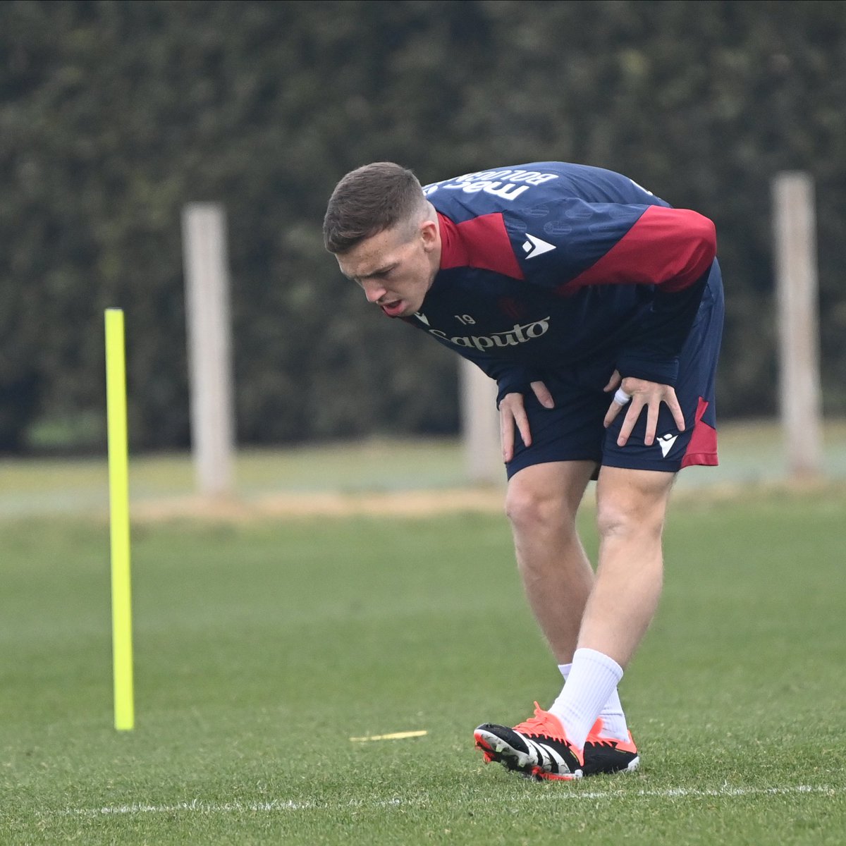 Bologna FC 1909 tweet media