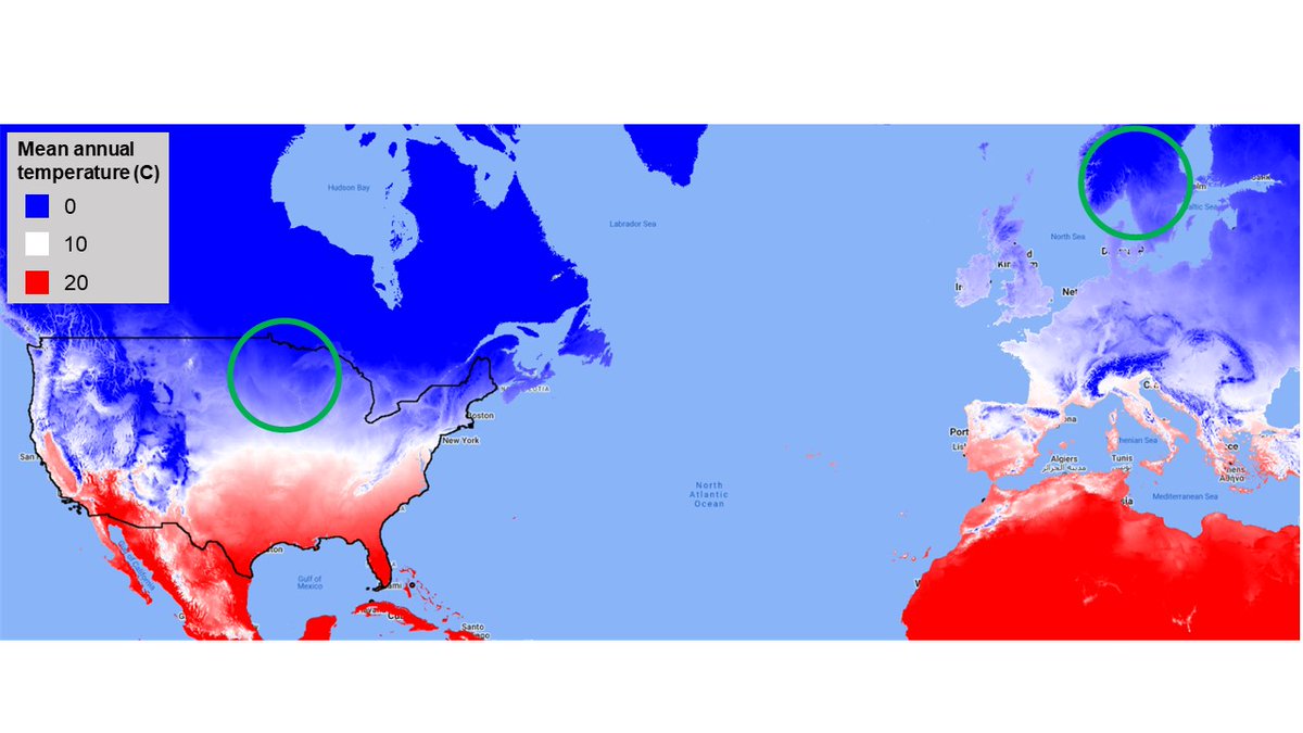 Charles Taylor tweet media