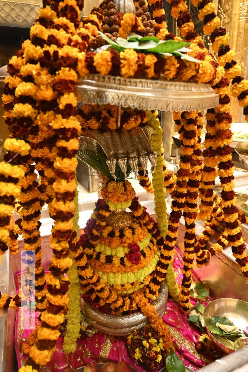 ShriVishwanath's tweet photo. दिनांक 18-01-2024 को श्री काशी विश्वनाथ मंदिर में शयन आरती के भव्य दर्शन  #ShriKashiVishwanath #Shiv #Mahadev #Baba #Temple #Darshan #Blessings #BhogAarti #Varanasi #Aarti #Kashi #Jyotirlinga #VishwanathDham https://t.co/SIg1PGuYmC