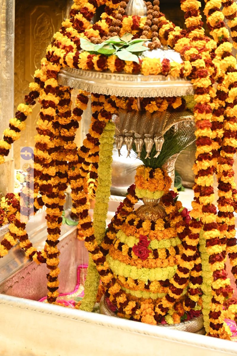 ShriVishwanath's tweet photo. दिनांक 18-01-2024 को श्री काशी विश्वनाथ मंदिर में शयन आरती के भव्य दर्शन  #ShriKashiVishwanath #Shiv #Mahadev #Baba #Temple #Darshan #Blessings #BhogAarti #Varanasi #Aarti #Kashi #Jyotirlinga #VishwanathDham https://t.co/SIg1PGuYmC