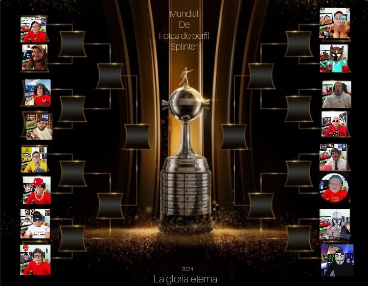 🏆ASI QUEDAN LOS DUELOS DEL MUNDIAL DE FOTOS DE PERFIL SPLINTER🏆 (hoy a las 17:00 arrancan los duelos)