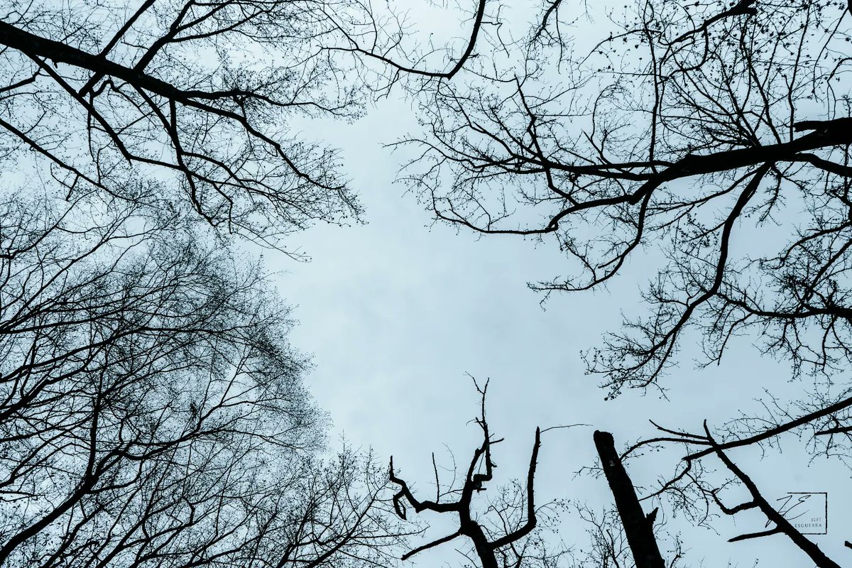 JeffyEsguerra's tweet photo. Fellow #photographers enjoy my moody photoshoot while out on a hike. Let me know what you think! https://t.co/9YOPKrQ6vD