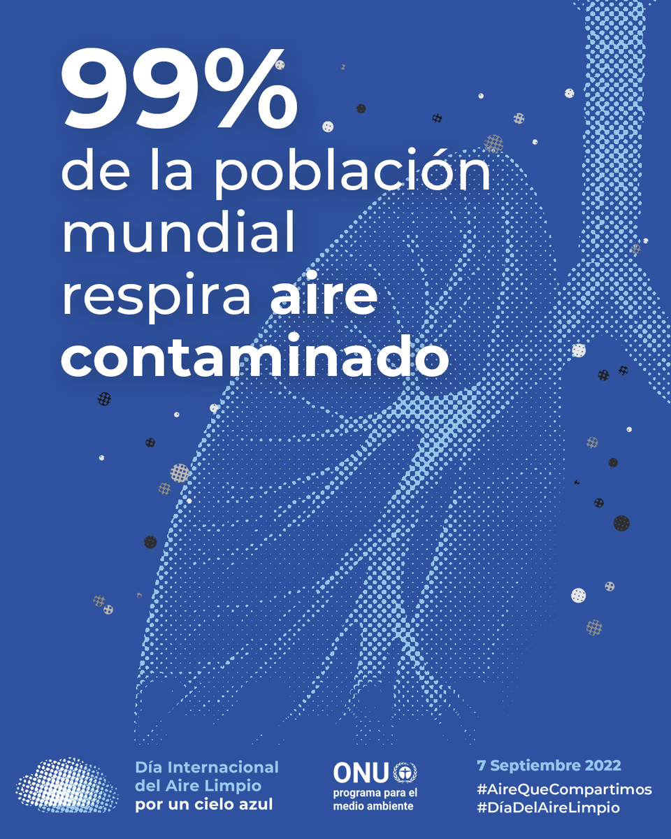 El aire limpio es un derecho humano. Sin embargo, la contaminación del aire nos niega ese derecho. #ActúaAhora para reducir tu impacto, apoya las energías renovables y presiona por políticas que regulen las emisiones de los vehículos. un.org/es/actnow/